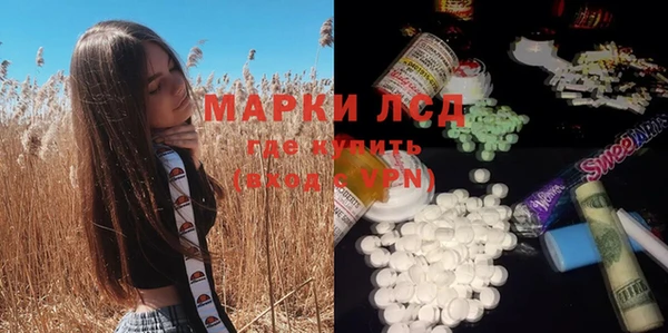 ПСИЛОЦИБИНОВЫЕ ГРИБЫ Алексеевка