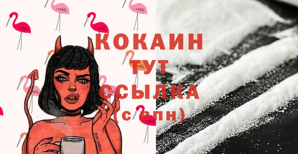 МДПВ Абинск